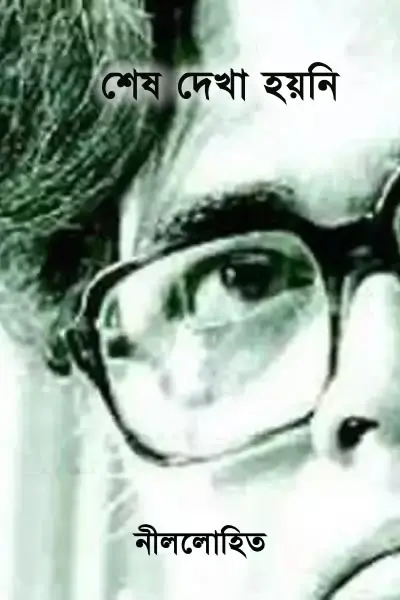 শেষ দেখা হয়নি